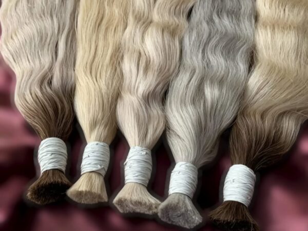 Rohhaare (Bulkhair) (B2B)