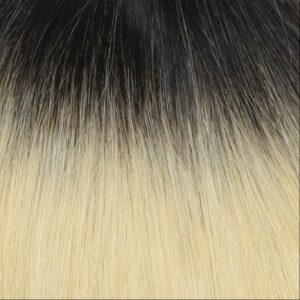 ombre 1B 60 1 1