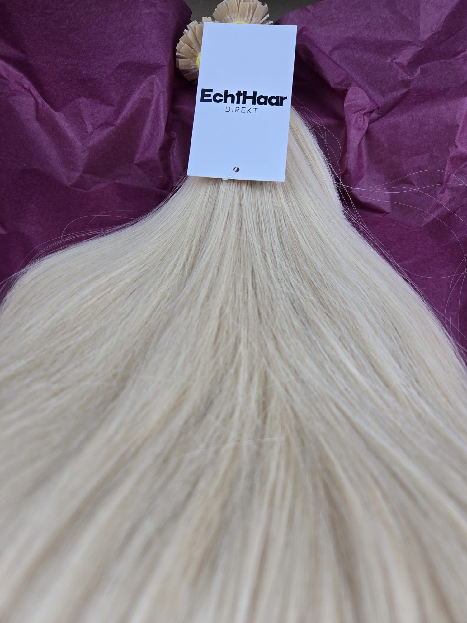 WhatsApp Image 2026 02 10 at 18.36.17 2