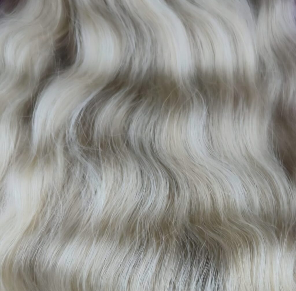 WhatsApp Image 2026 02 12 at 18.26.27 1