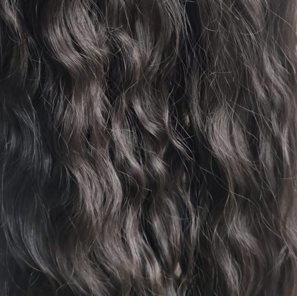 WhatsApp Image 2026 02 12 at 18.26.27