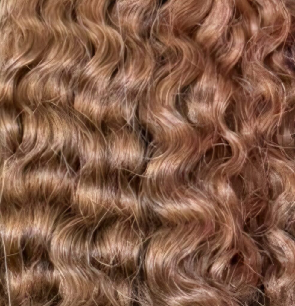 WhatsApp Image 2026 02 12 at 18.26.28 1