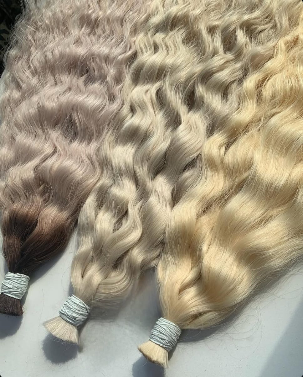 WhatsApp Image 2026 02 12 at 18.44.07