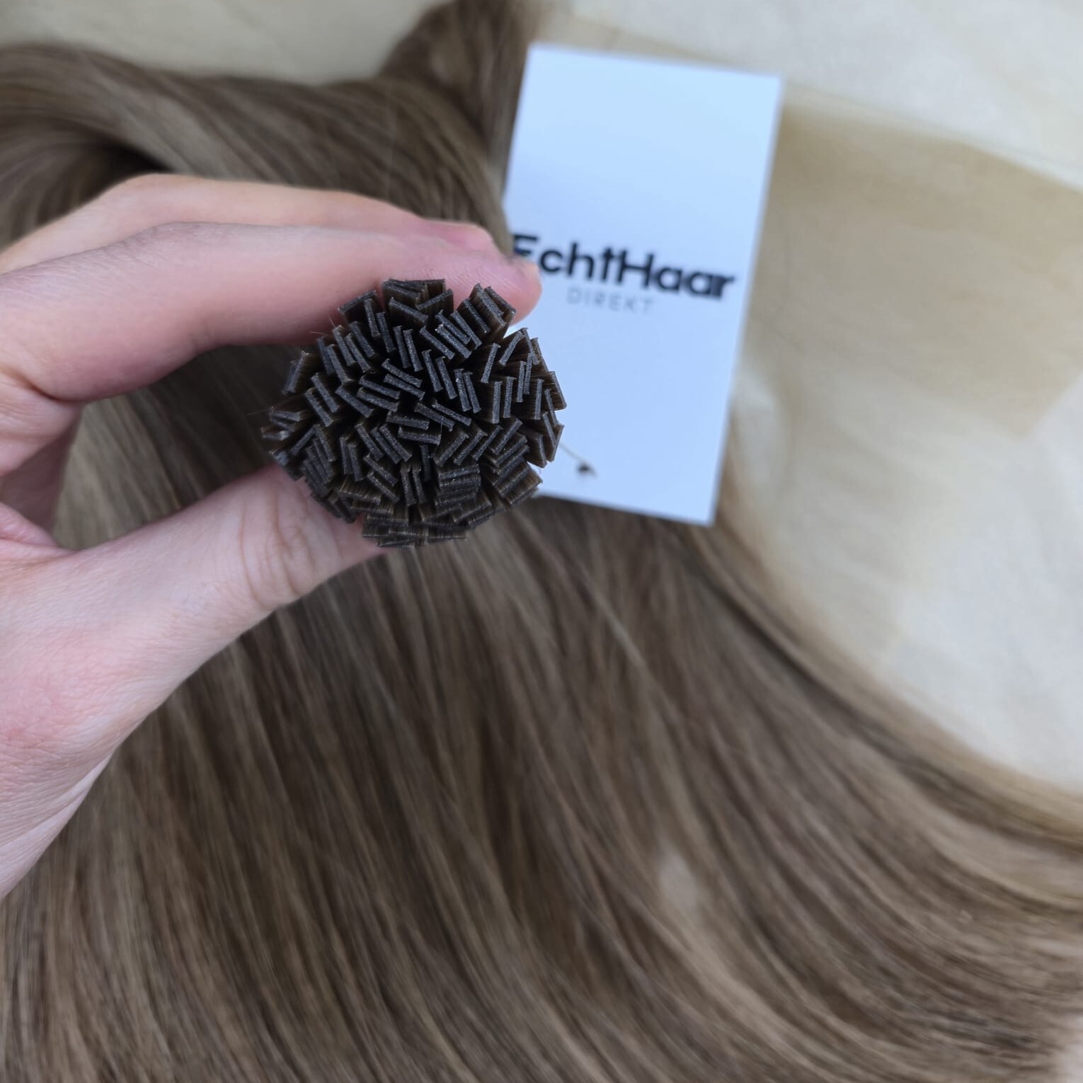 WhatsApp Image 2026 02 14 at 14.59.23