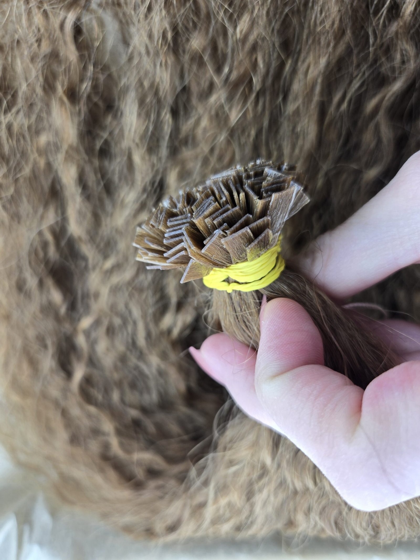 Lager-Artikel #39194 – Bild 2