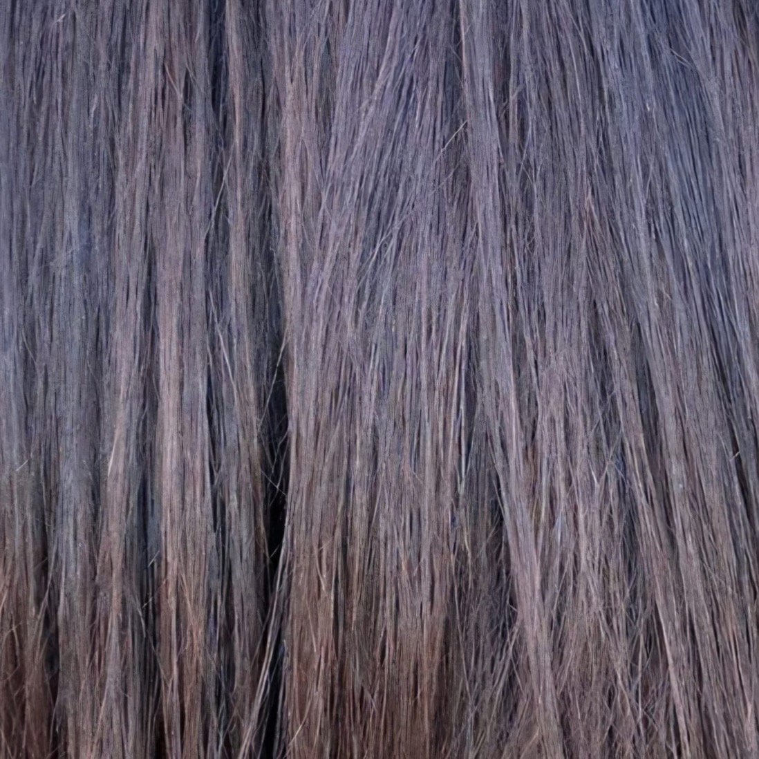 Balayage Choclate Brown 2