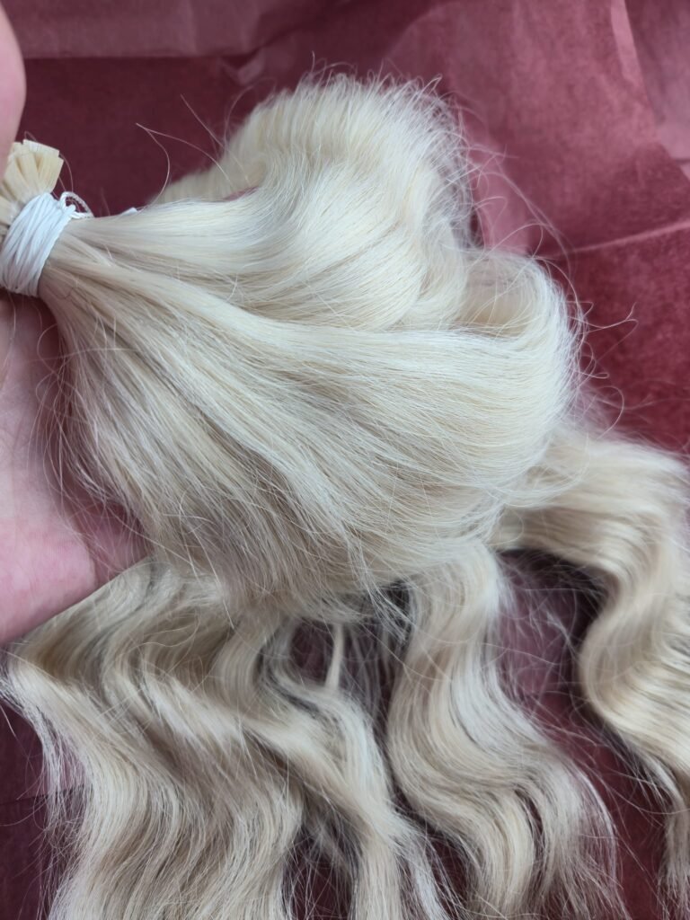 IMG 20260323 WA00801