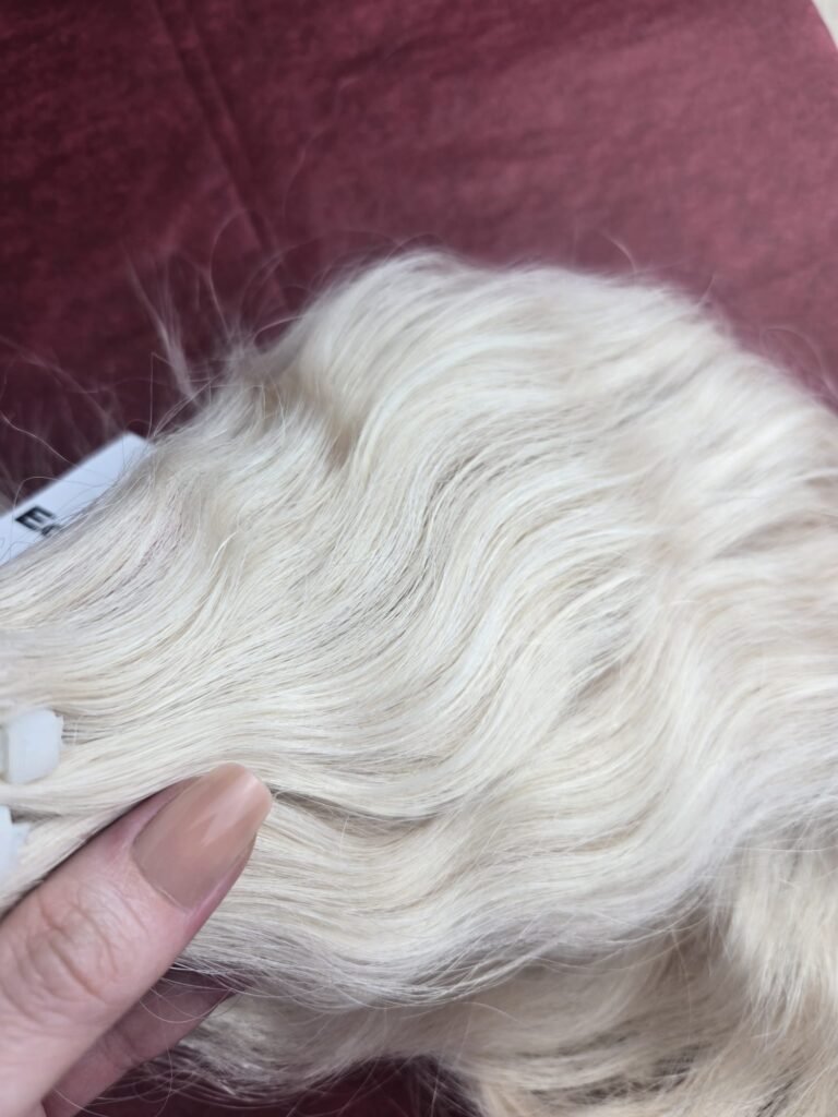 IMG 20260416 WA00161 1