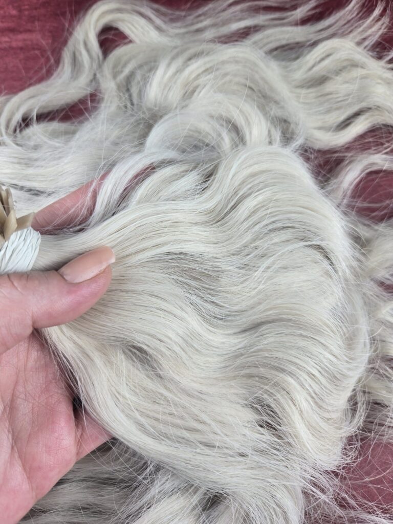 WhatsApp Image 2026 04 13 at 21.40.49