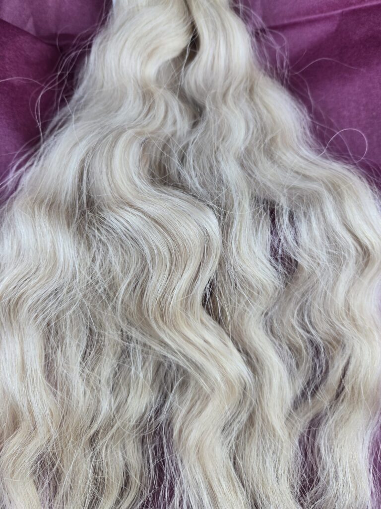 WhatsApp Image 2026 04 13 at 21.44.04 1