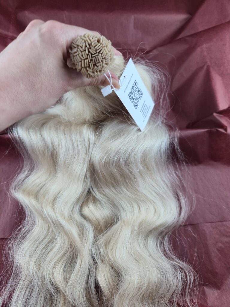 WhatsApp Image 2026 04 13 at 21.51.58 1