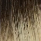 Echthaar Extensions in Balayage #2-6C-60C
